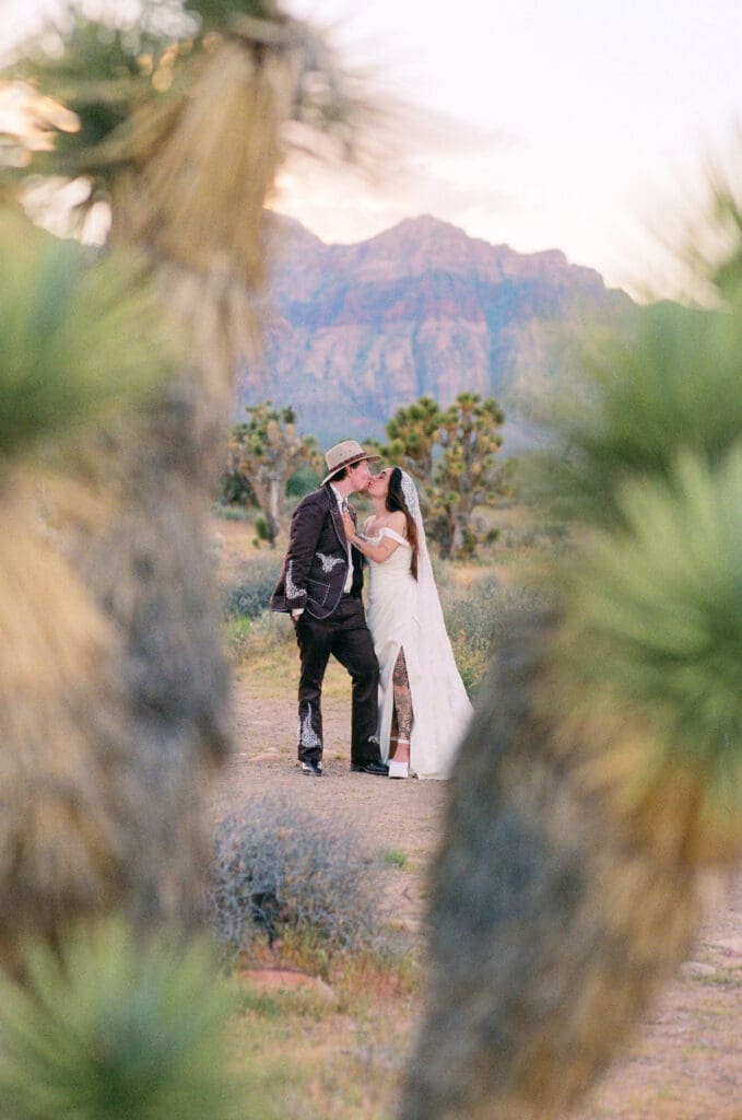 cute picture of the newlyweds kissing
