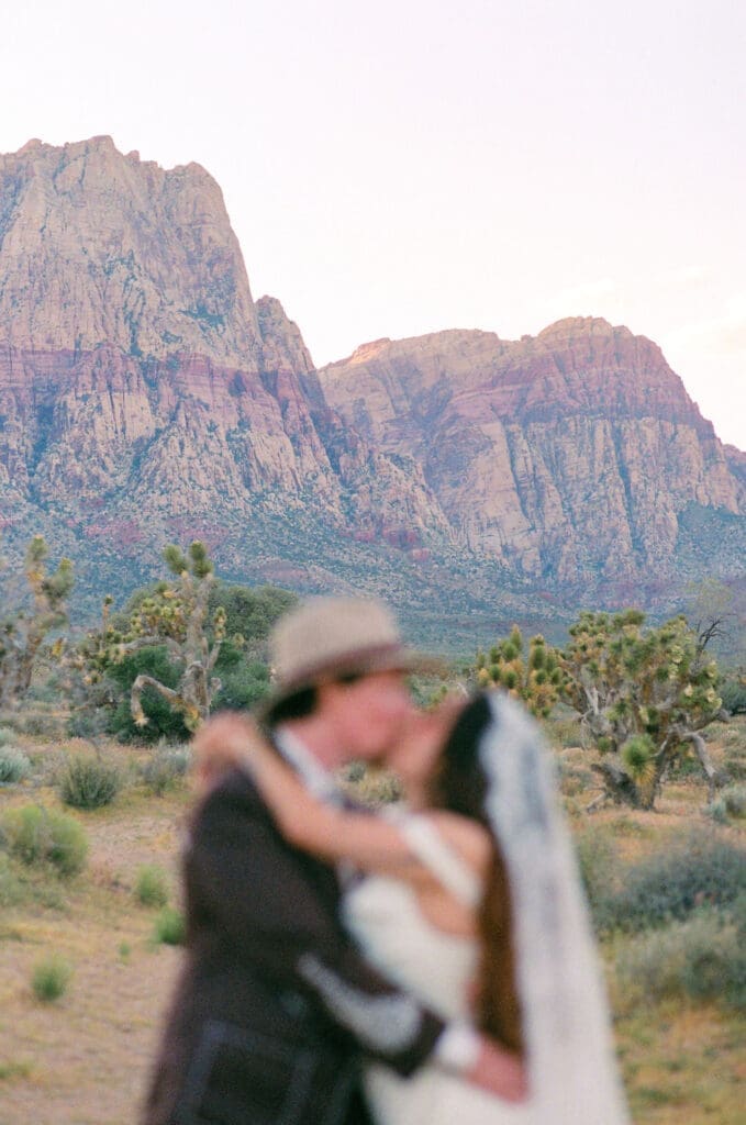 newly married couple at their dream elopement